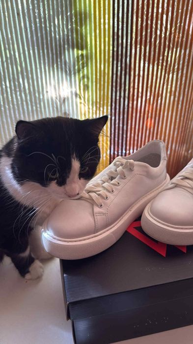 Кецове естествена кожа 38-ми номер