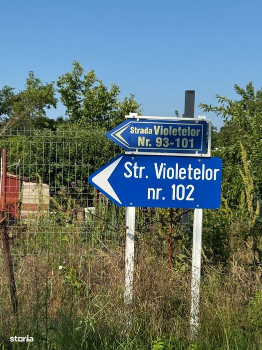Vanzare Teren Rezidential Branesti 1000mp