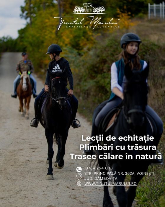 lecții de echitație