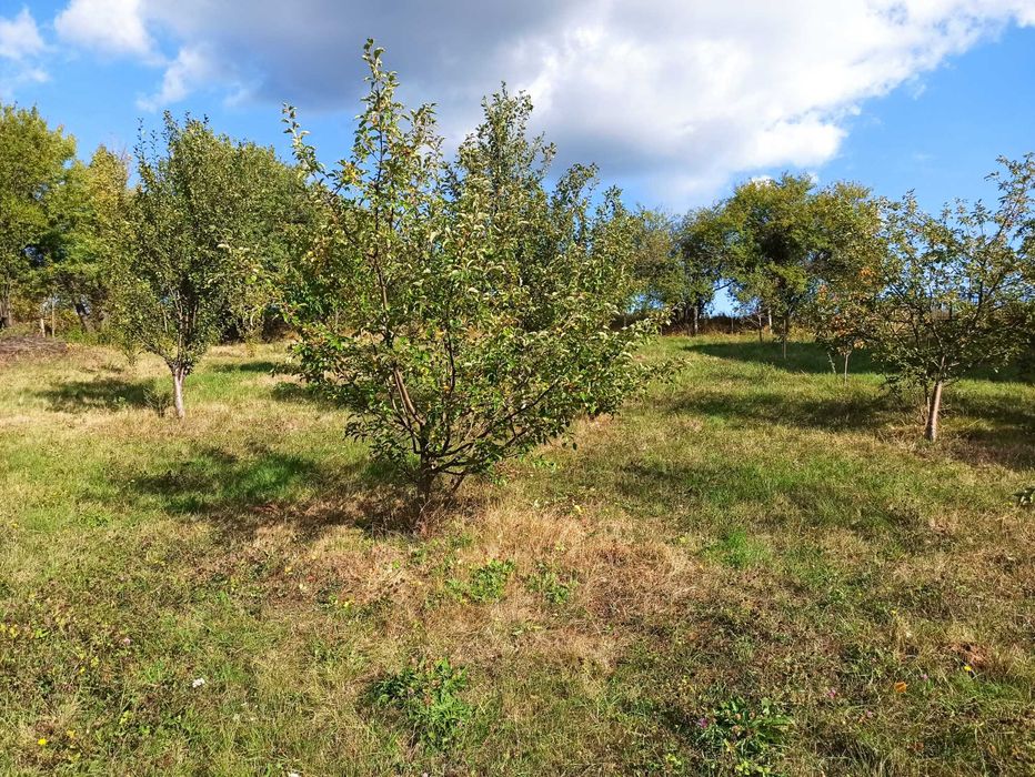 Продава се Парцел в с. Злокучене, Област София-област - 1400 кв.м за 14 €/кв.м - Снимка #1