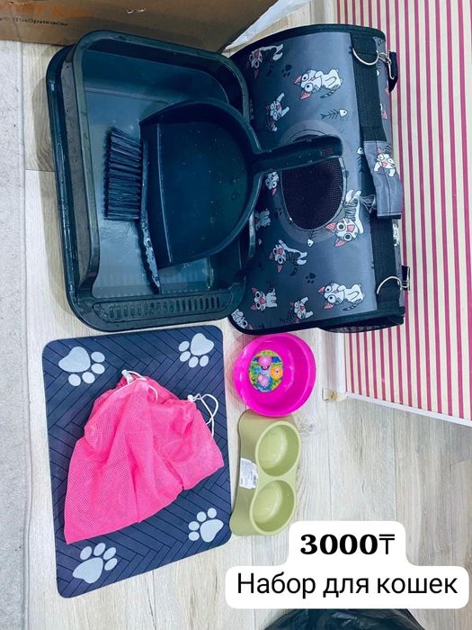 Женский одежды для