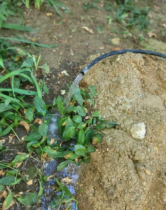 Foraje puturi apă - în toată țară