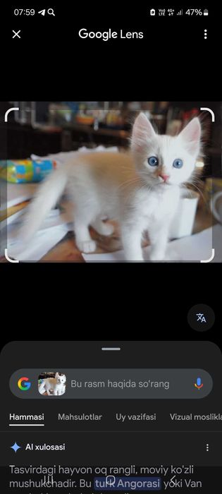 Almashtirib beriladi yoqmasa