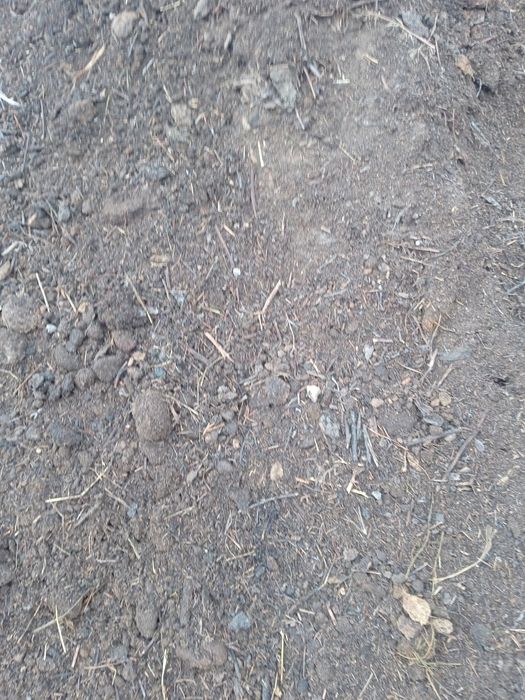 Продам навоз.25000.тг