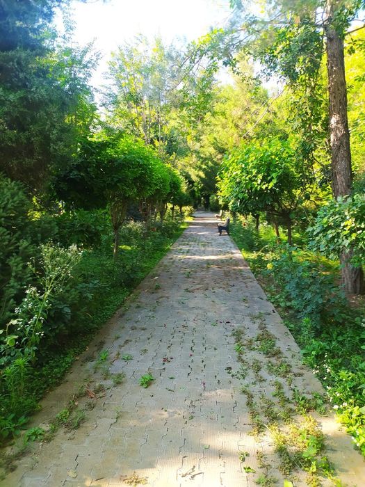 Участок 1,23 Гектара Чингильды