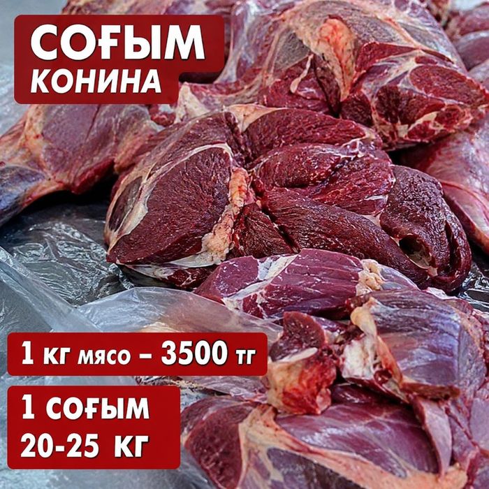 Согым Жілік Ет конины