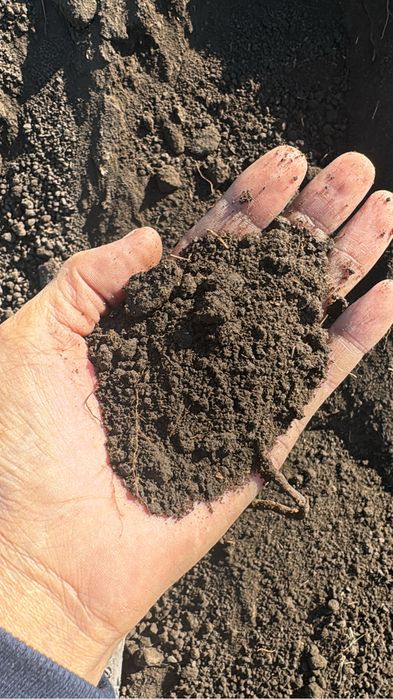 Черназем перегной