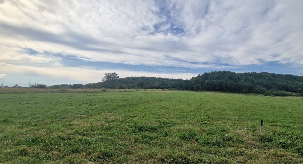 Teren 6.400 mp de vânzare – Mioveni, Racovița – 2.517 mp intravilan
