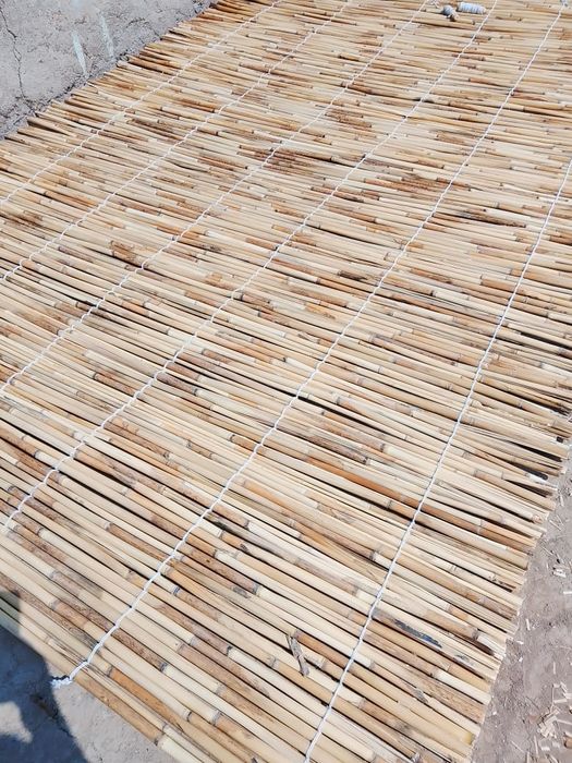 Камыс ши веточка