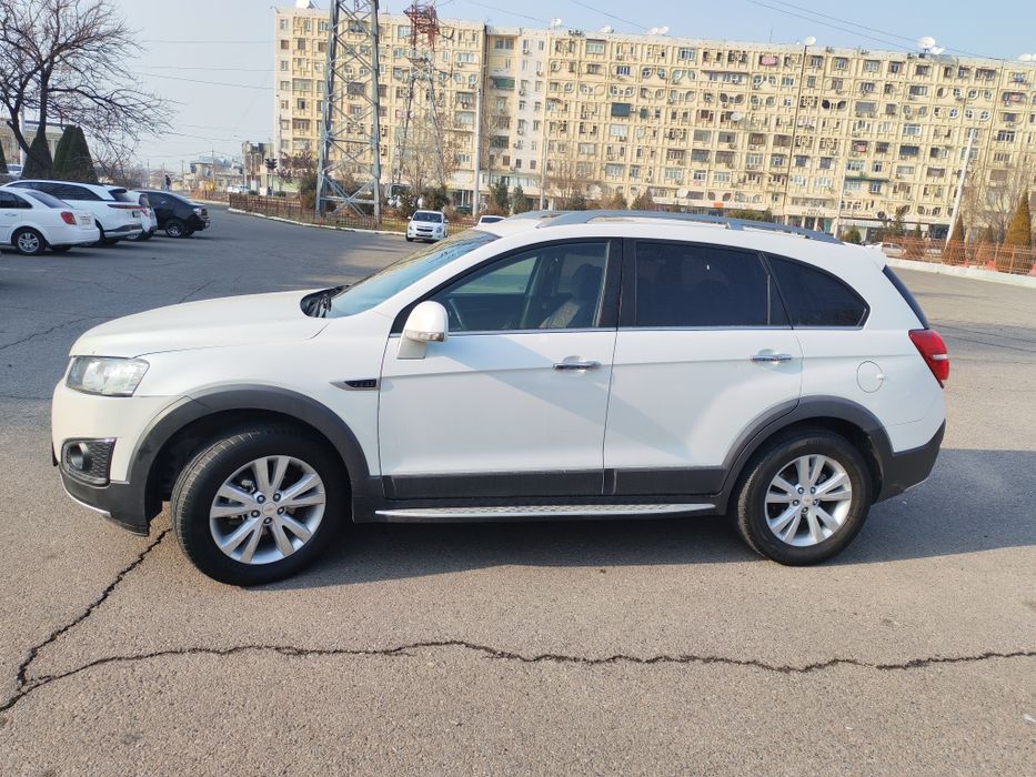 Kaptiva. 3. Oq jemchuk