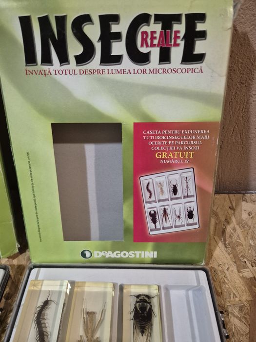 Colecție insecte reale  DeAGOSTINI