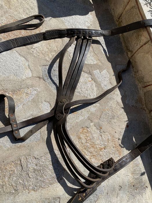 Предлагам Кошуми за коне