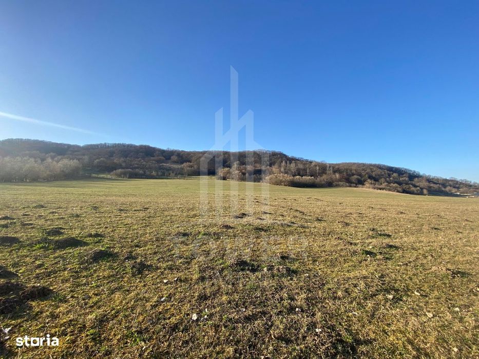 Teren de 7.500 mp de vânzare în Bradu, Avrig-COMISION 0% – lângă râul