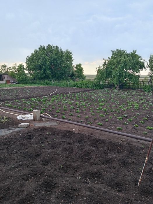 Продам дачу Союз, улица 17, дача 65