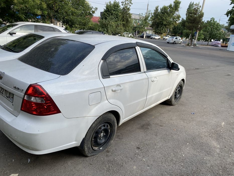 Neksa3 gaz bor 2020