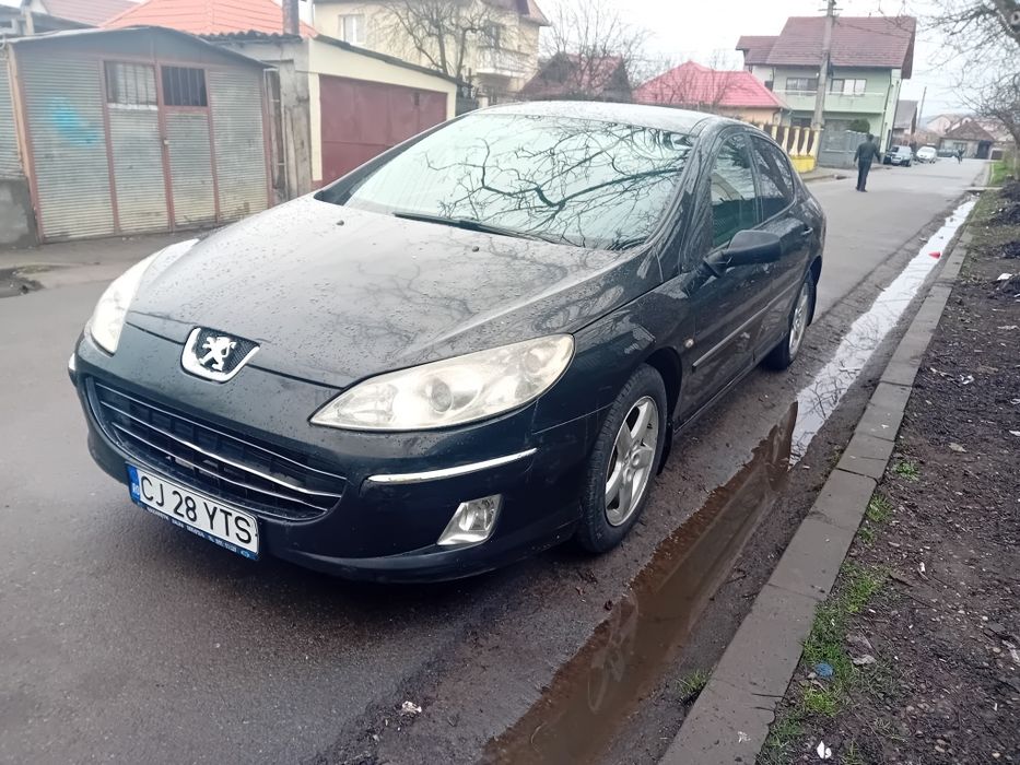Peugeot 4072008.