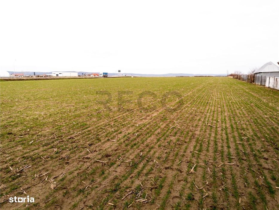 RECO Teren intravilan in Cheriu 2000 mp