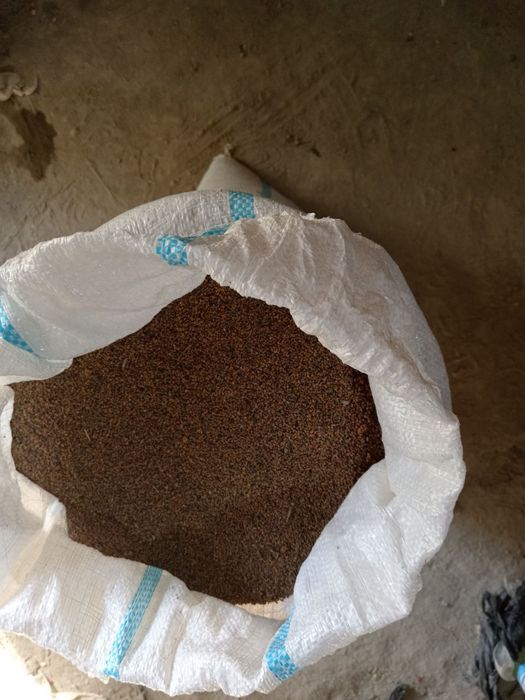 tut urug', тут уруг, тут