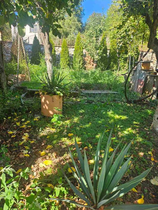 Продава се Къща в с. Несла, Област София-област - 140 кв.м за 608 €/кв.м - Снимка #6