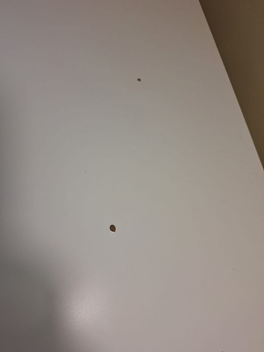 Vând birou reglabil înălțime - Ikea PÂHL