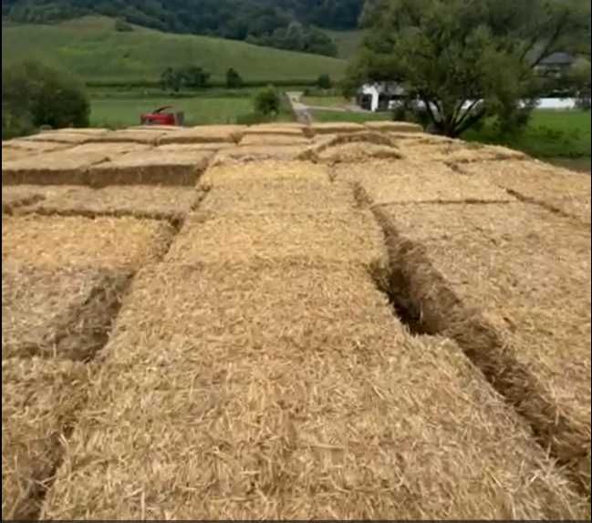 Vindem/Schimb  baloti de paie patrati  2024