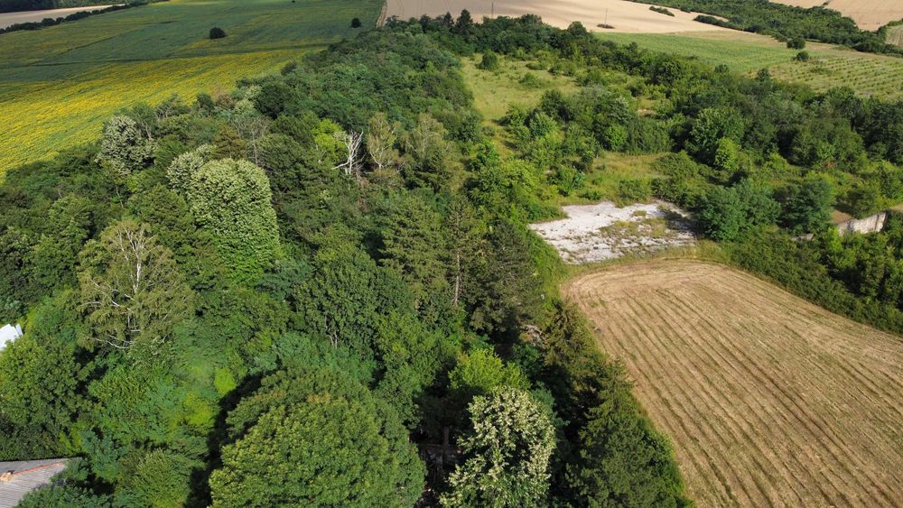 Продава се Парцел в Разград, Бели Лом - 62651 кв.м за 14 €/кв.м - Снимка #3