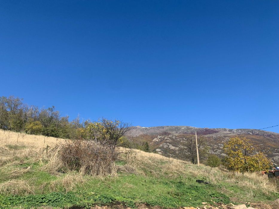 Продава се Парцел в Карлово - 9329 кв.м за 60 €/кв.м - Снимка #7