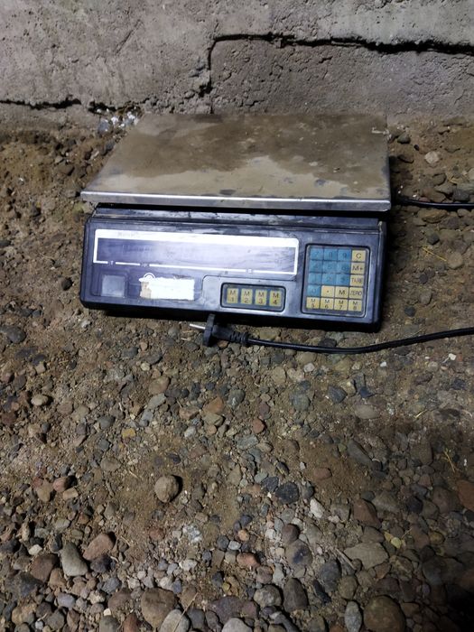 Прочая Электроника Весы