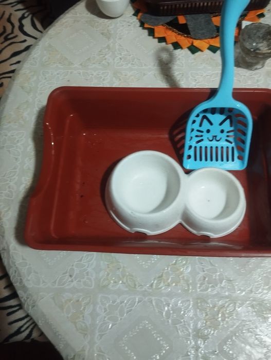 набор для кошки.