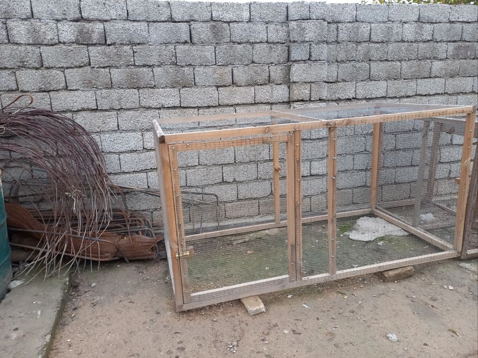 Tovuq va jòjalar uchun kattak