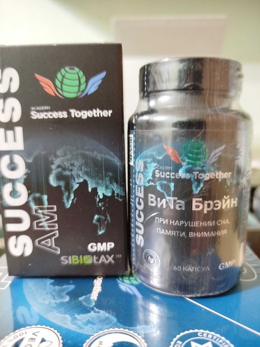 Вита брейн Success together