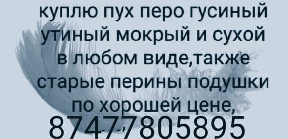 Пух перо гусиное утиное подушки перины самовывоз по городу и за город