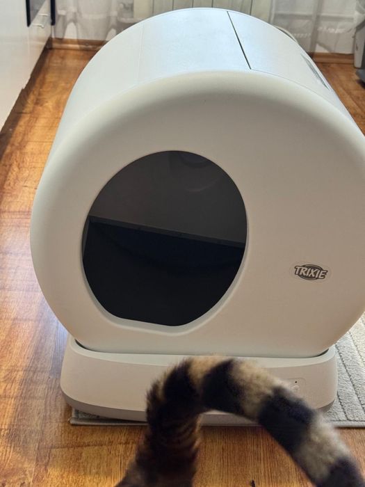 Vand litiera automata