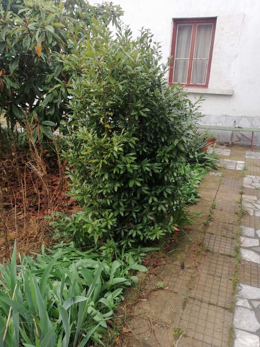 Продава се Къща в Дупница - 128 кв.м за 1446 €/кв.м - Снимка #7