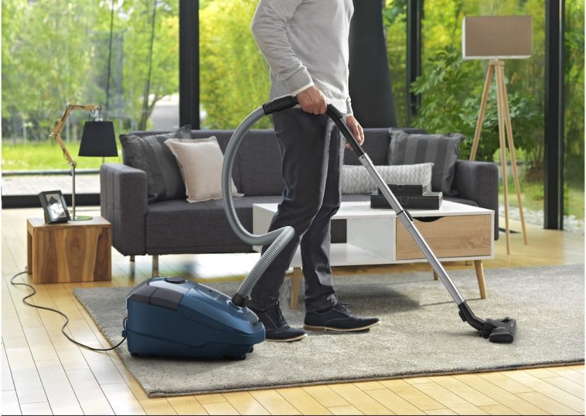 Aspirator cu sac Rowenta XXL RO3125EA