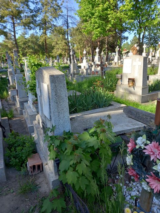 Loc de veci cu 2 cripte