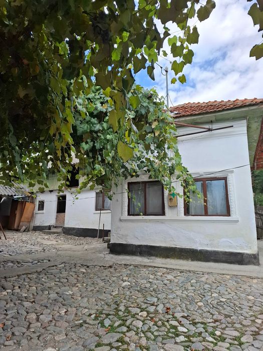 Casa de vanzare cu gradina