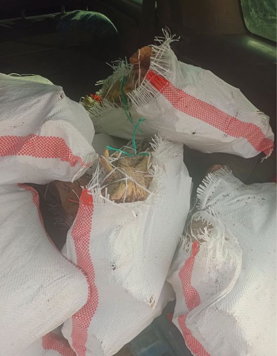 Саксаул для шашлыка