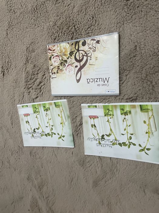 Caiete pentru școala