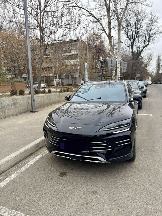 Продам BYD Champion Hybrid 150 km своя в идеальном состоянии.