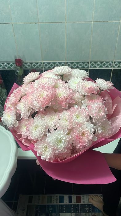 Гүлдер 8000нан басталады