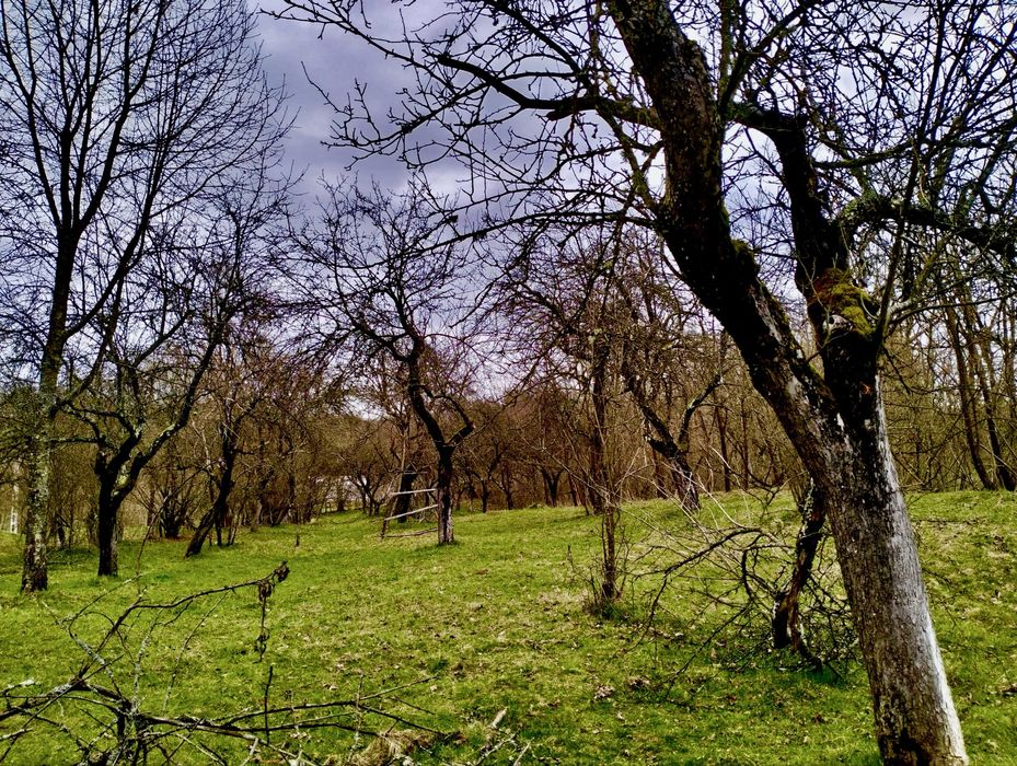 Ocazie! Vand teren Curtea de Arges pentru casa vacanta/ pensiune