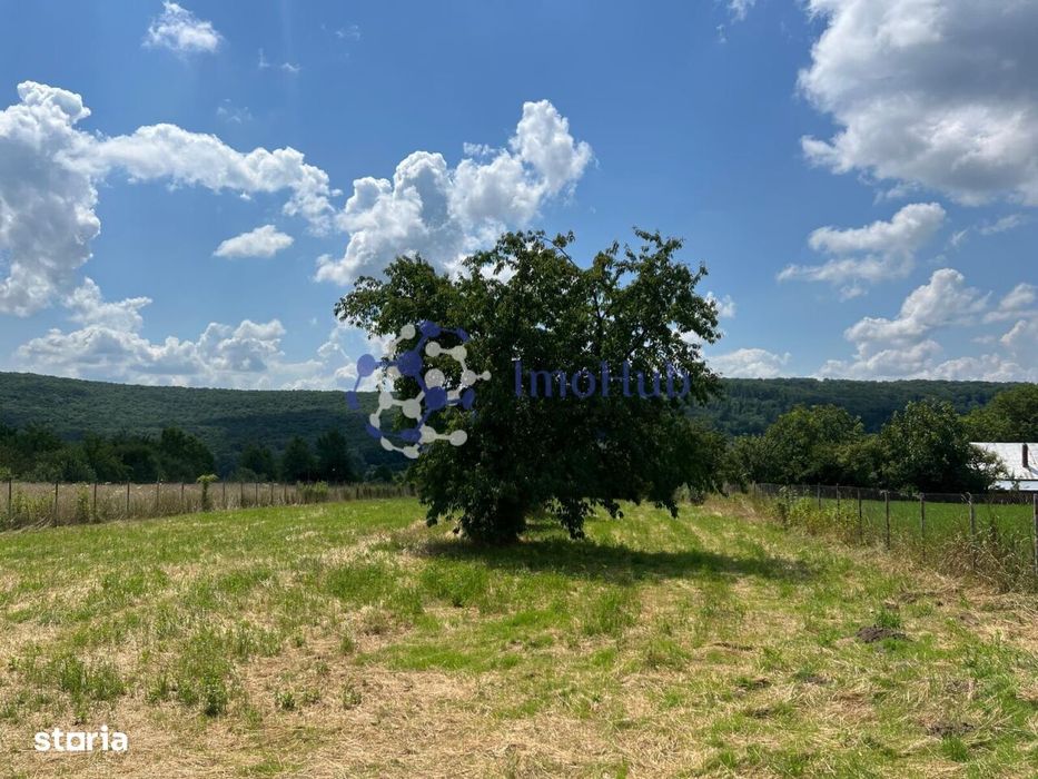 Teren de vânzare 2.531 mp Centrul satului Poieni, Priveliste spre