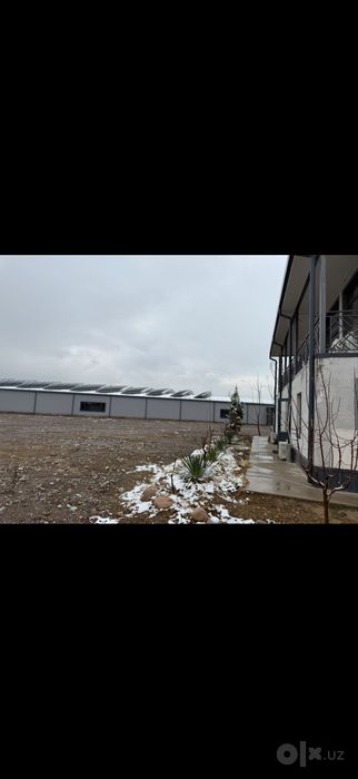 Аренда в Кибрай, Байкурган 60 000 сум за кв
