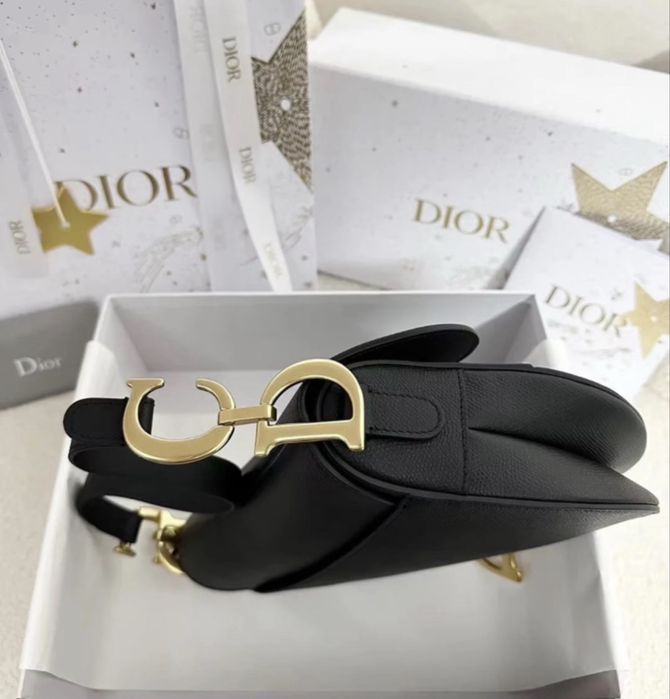 Dior Saddle Bag