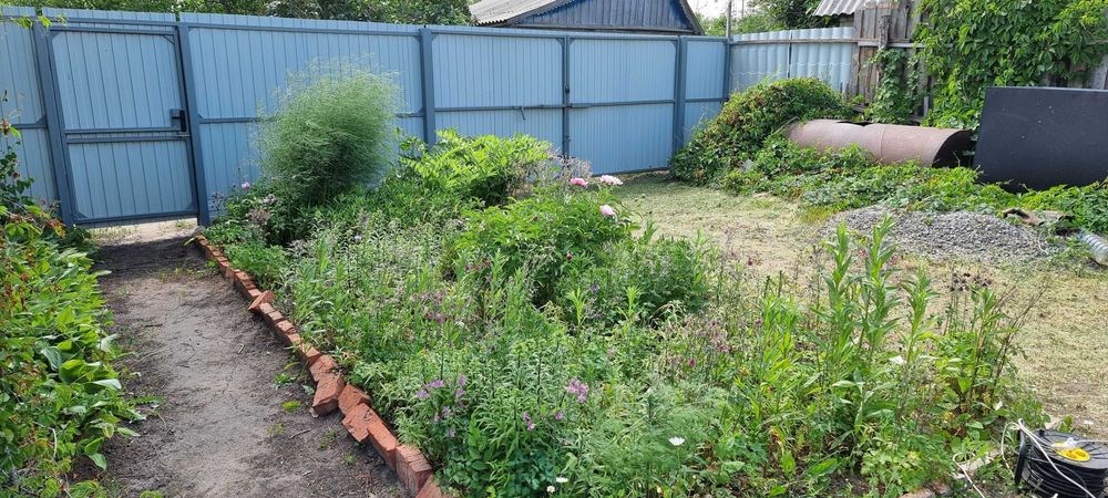 Продам дачу в СО "Текстильщик-1"