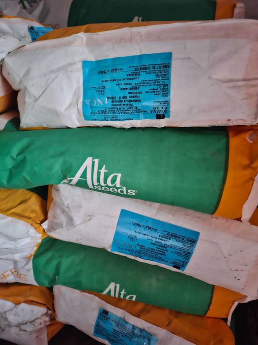 floarea soarelui de sămânță HYSUN 310SU/HYSUN 180IT