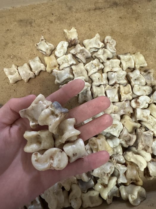 Асык для детей.