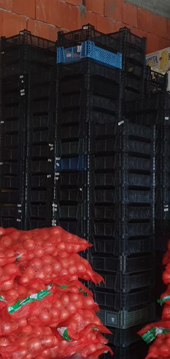 Ladite plastic diferite modele