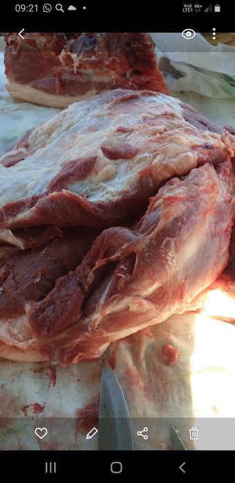 Продам  свинину  .